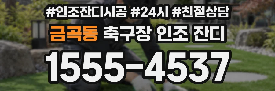금곡동 축구장 인조 잔디