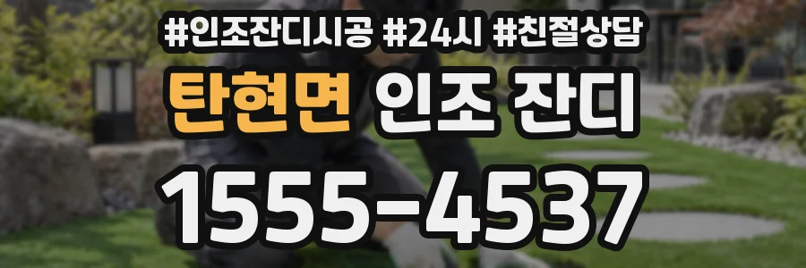 탄현면 인조 잔디