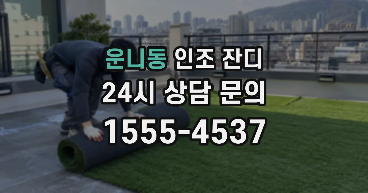 운니동 인조 잔디