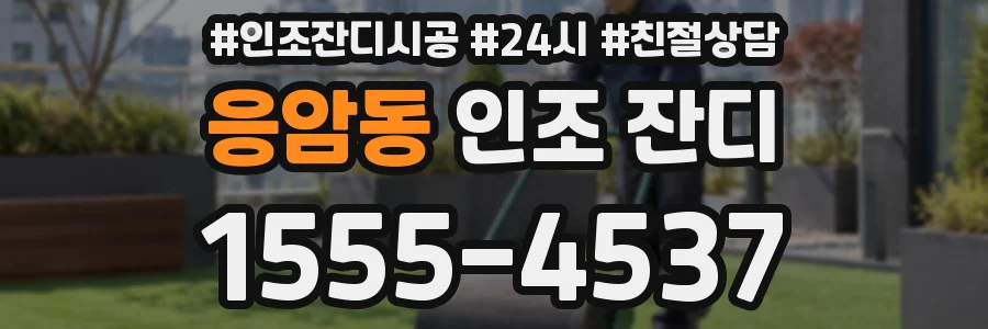 응암동 인조 잔디