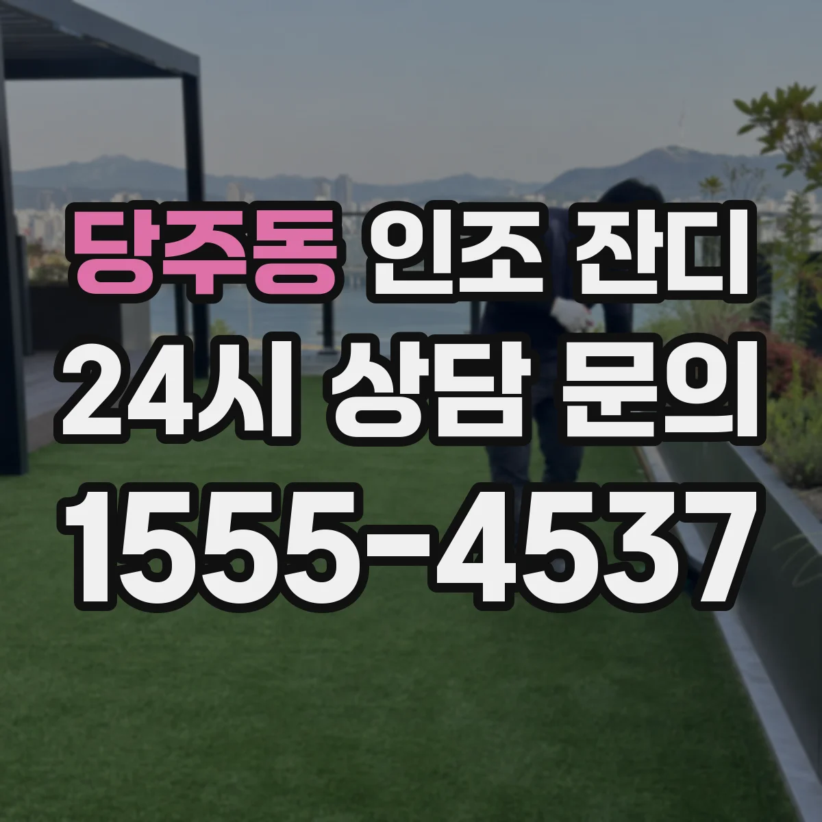 당주동 인조 잔디