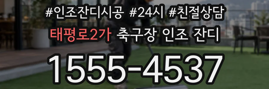 태평로2가 축구장 인조 잔디