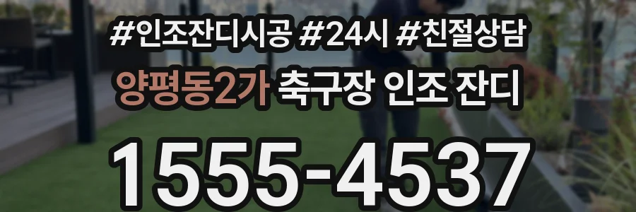 양평동2가 축구장 인조 잔디