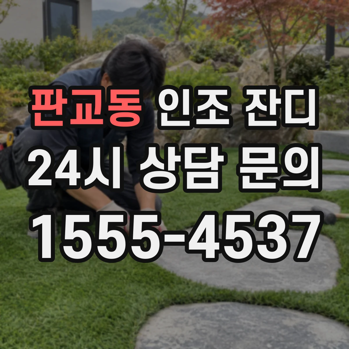 판교동 인조 잔디