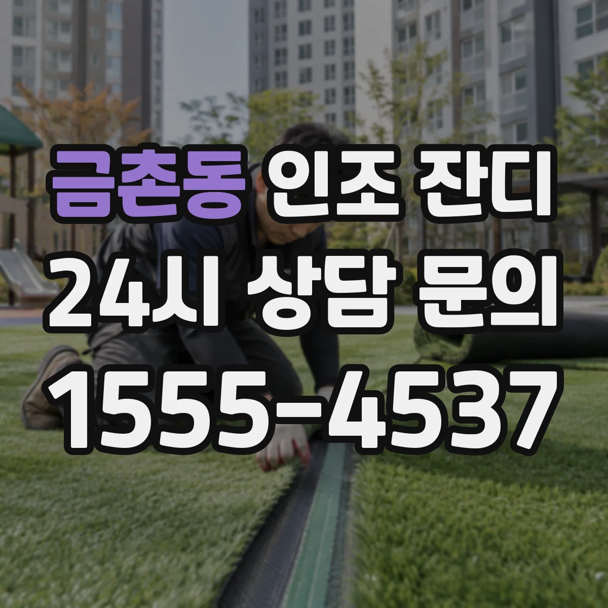 금촌동 인조 잔디