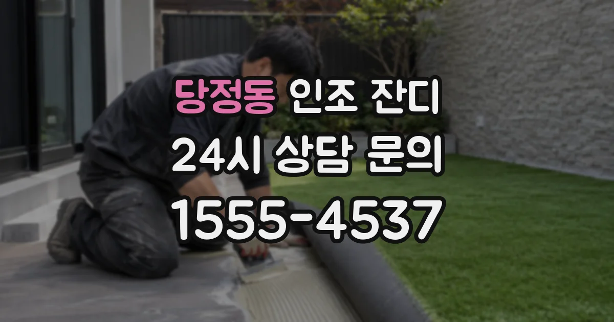 당정동 인조 잔디