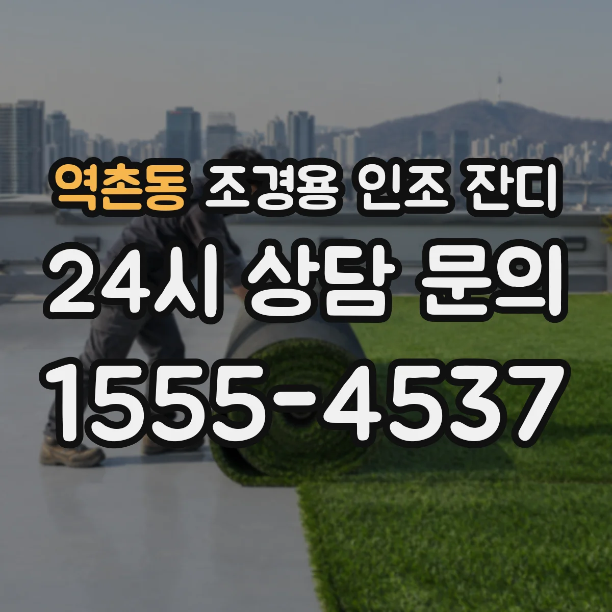 역촌동 조경용 인조 잔디