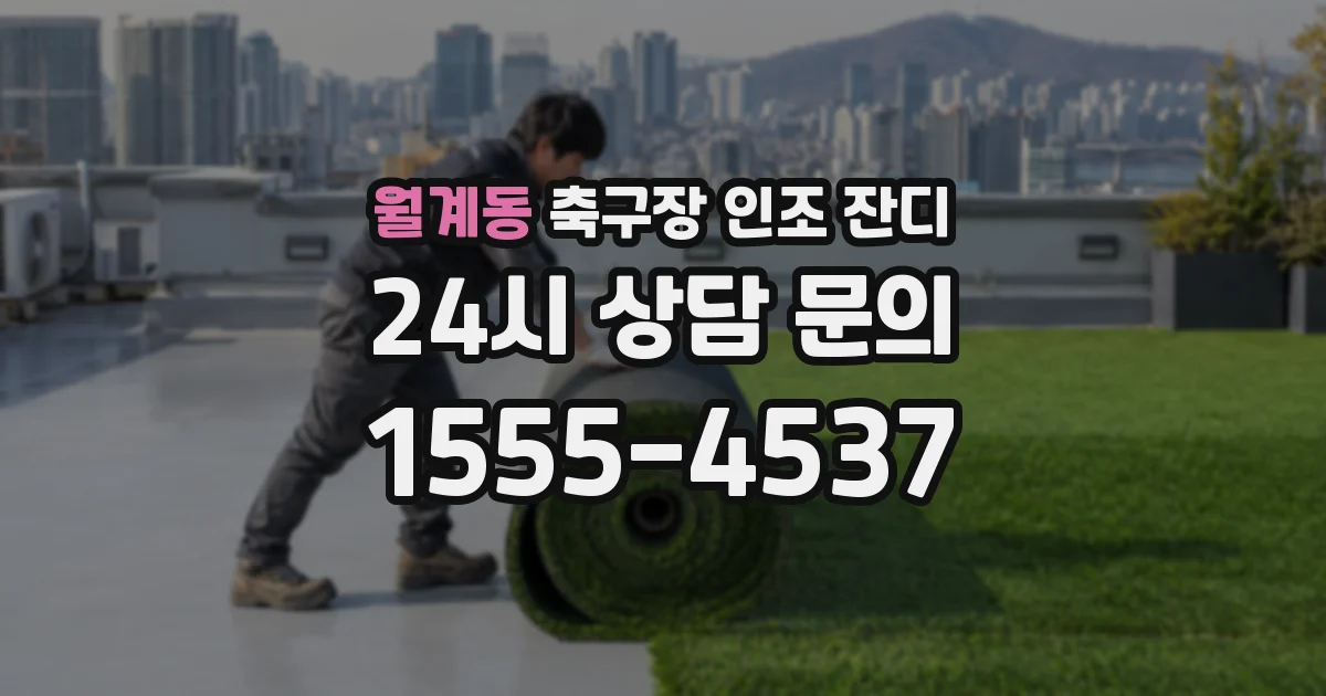 월계동 축구장 인조 잔디