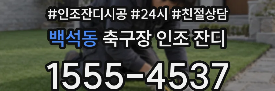 백석동 축구장 인조 잔디