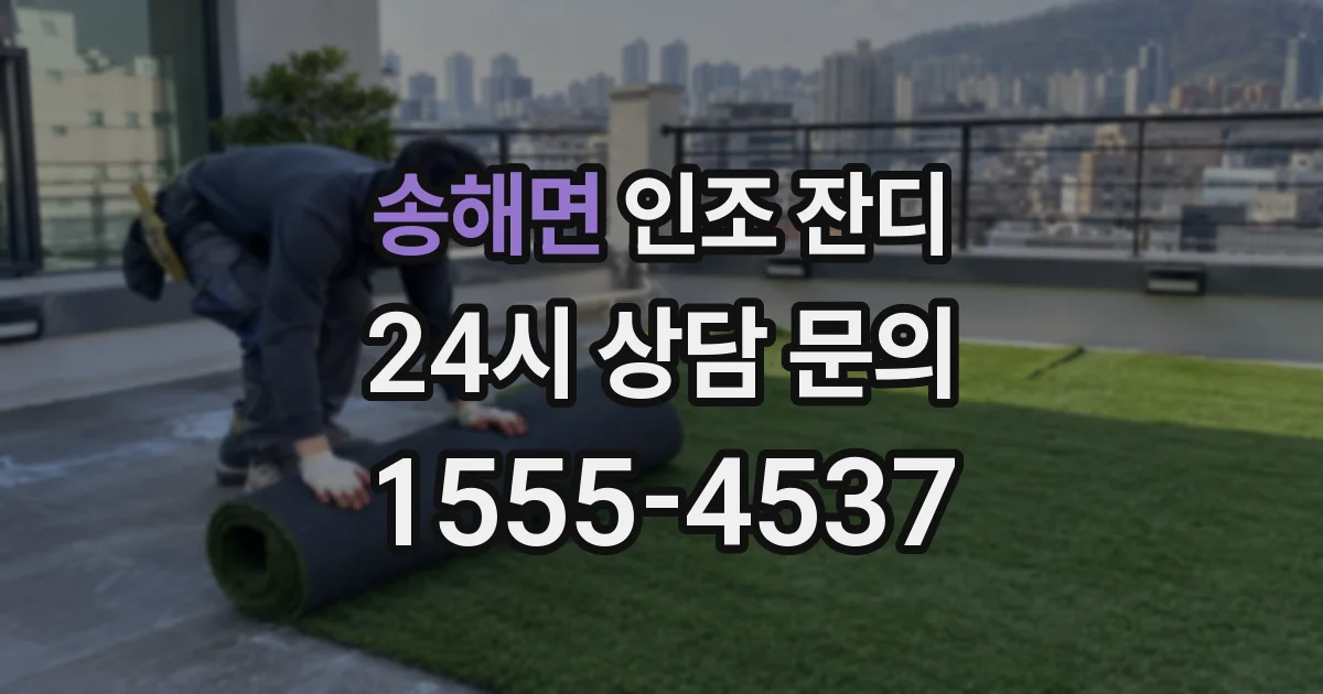 송해면 인조 잔디