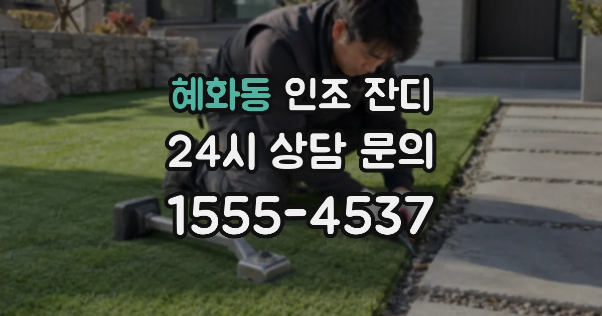 혜화동 인조 잔디
