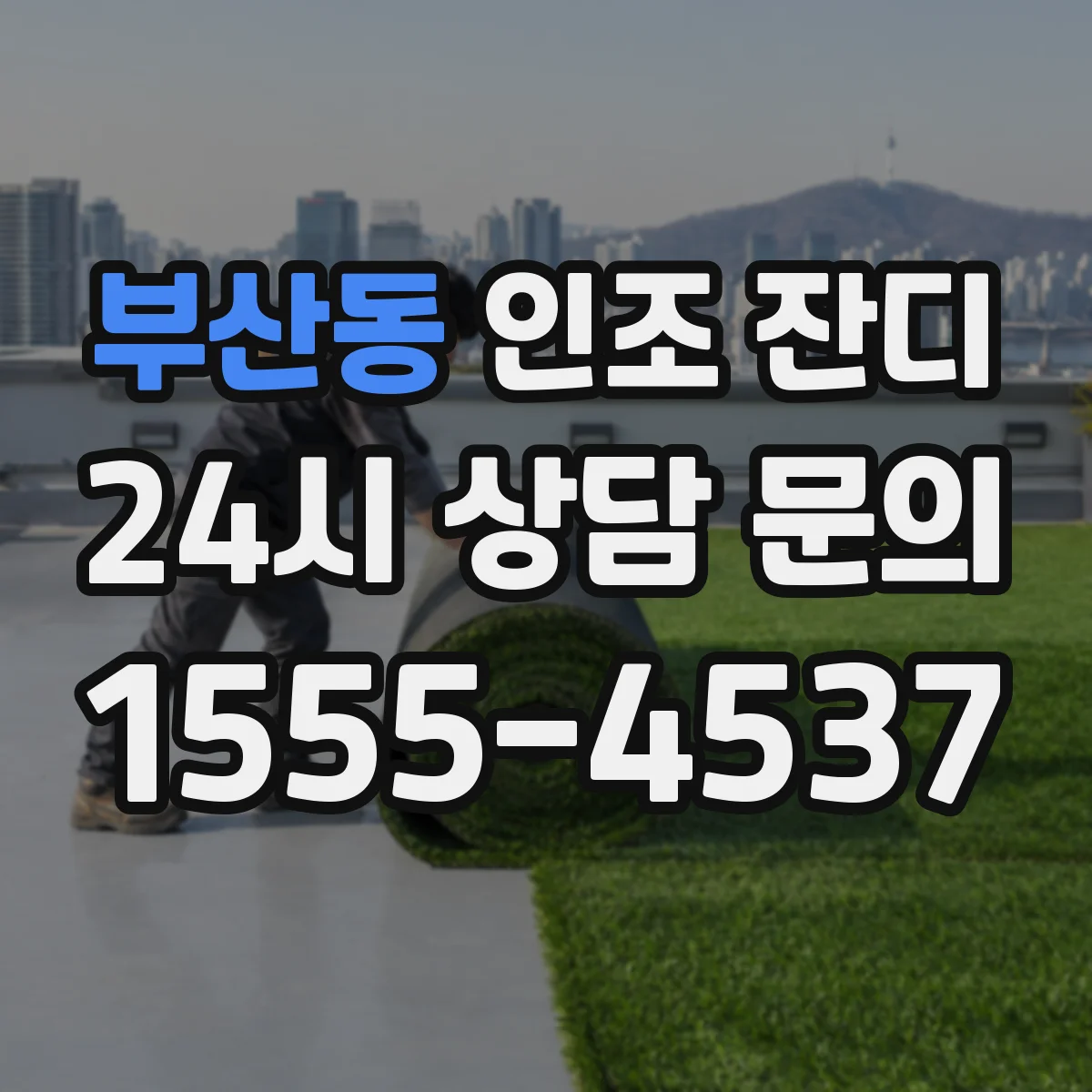 부산동 인조 잔디