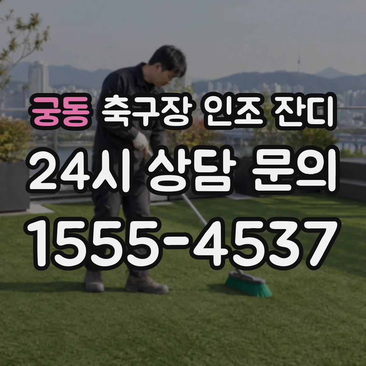 궁동 축구장 인조 잔디