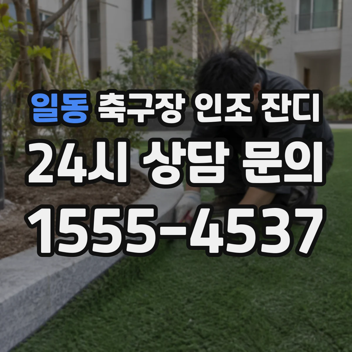 일동 축구장 인조 잔디