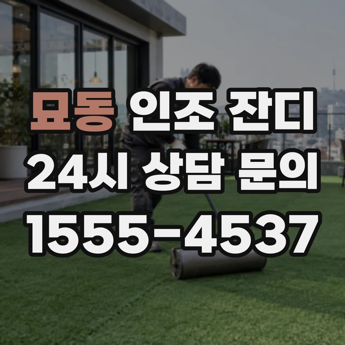 묘동 인조 잔디