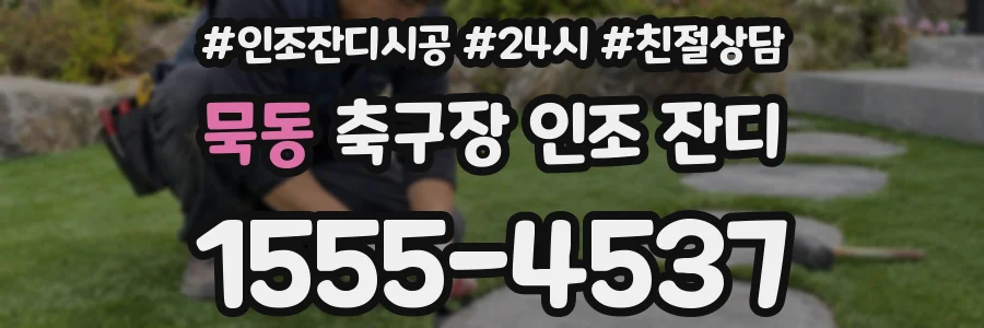 묵동 축구장 인조 잔디