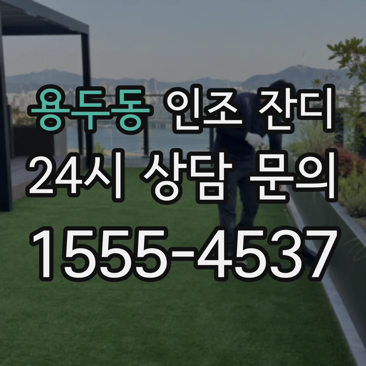 용두동 인조 잔디