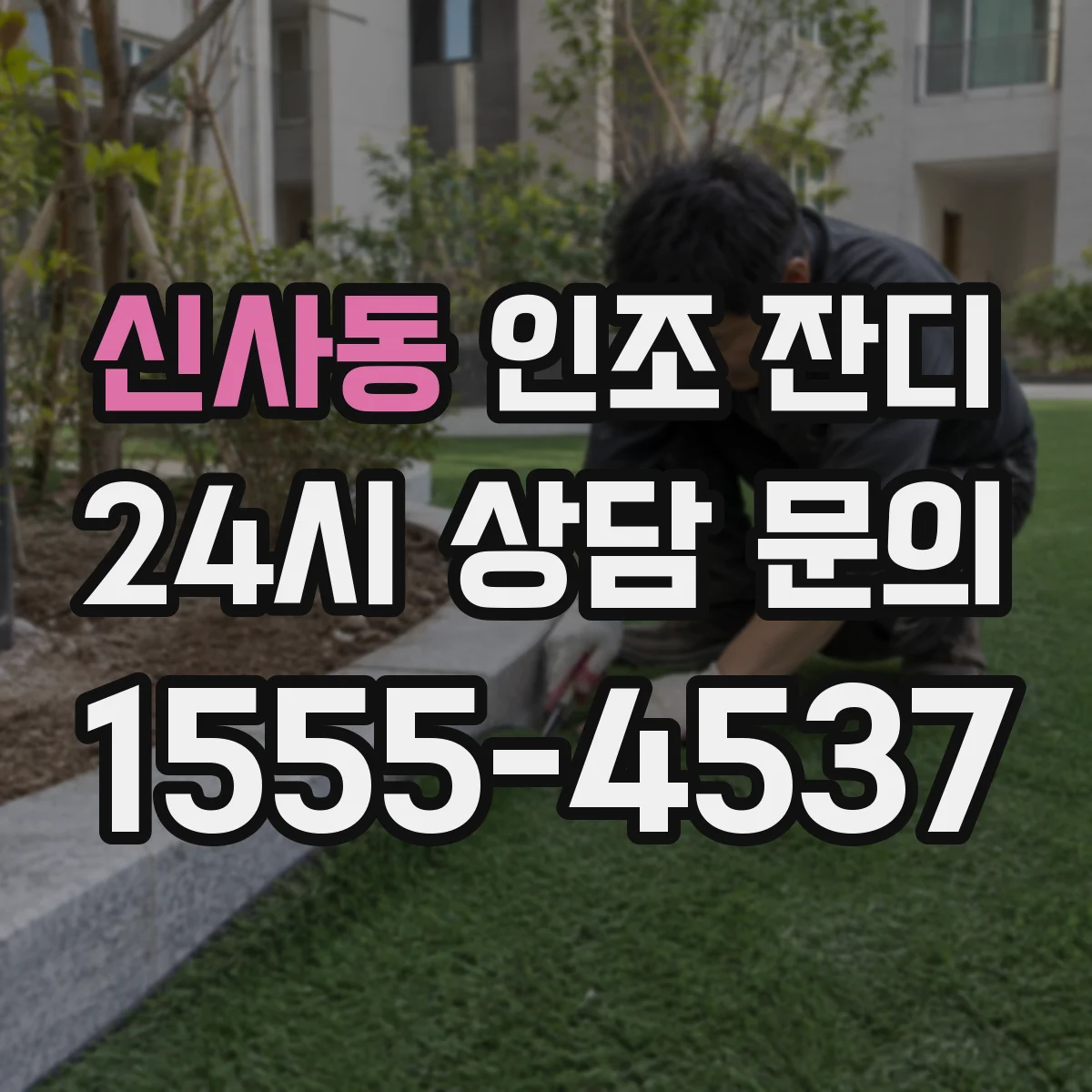 신사동 인조 잔디