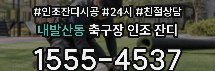 내발산동 축구장 인조 잔디
