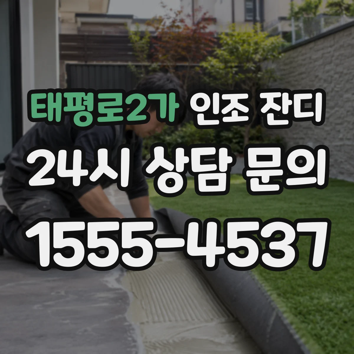 태평로2가 인조 잔디