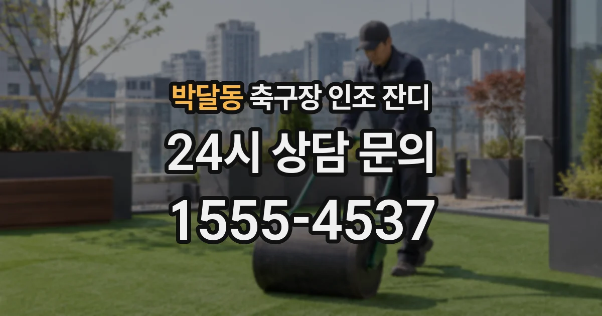 박달동 축구장 인조 잔디