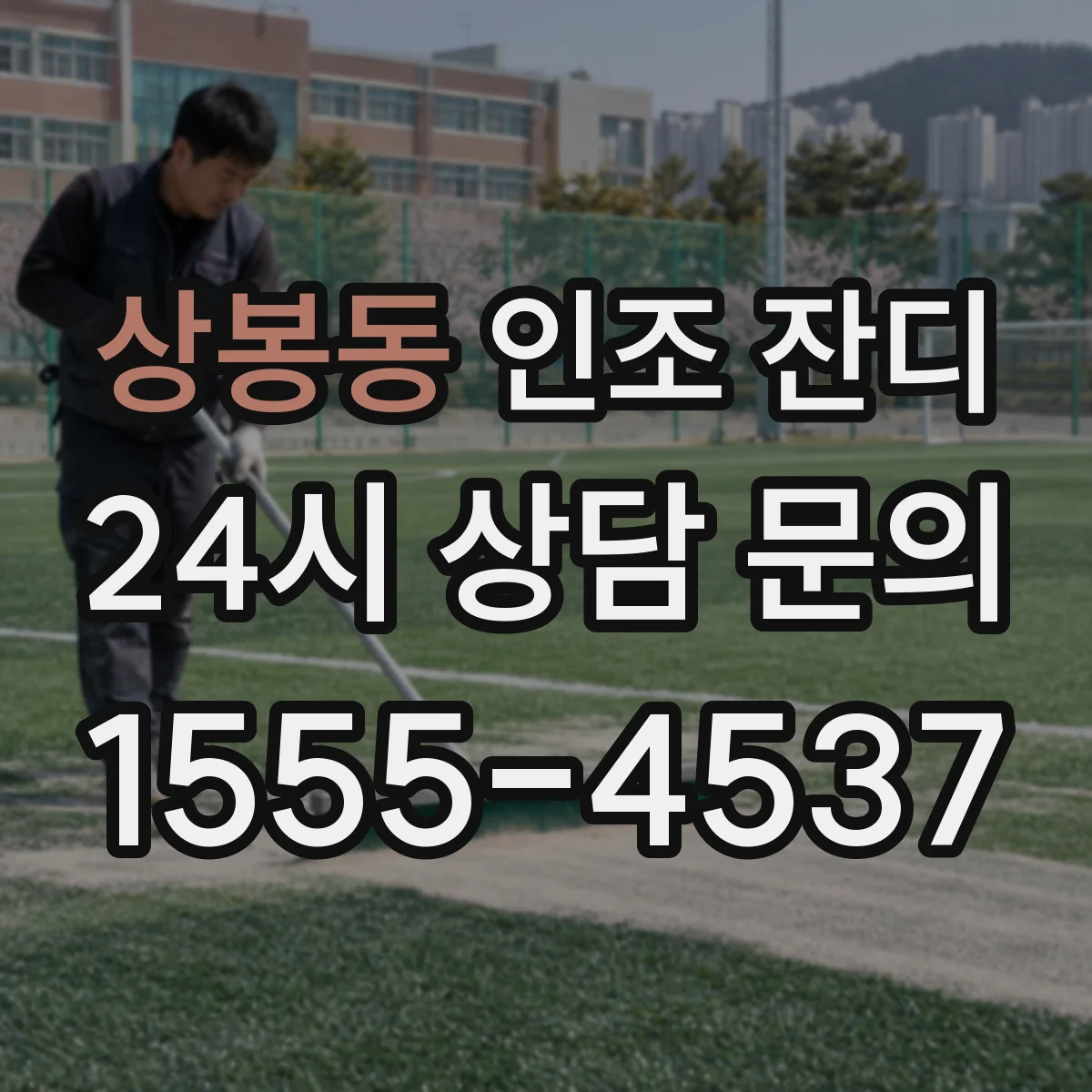 상봉동 인조 잔디