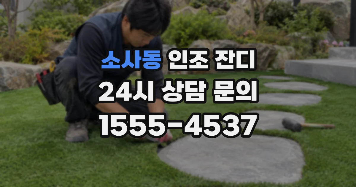 소사동 인조 잔디