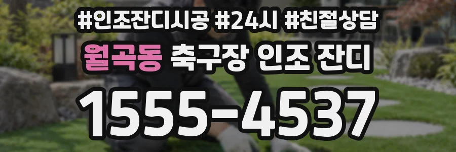 월곡동 축구장 인조 잔디