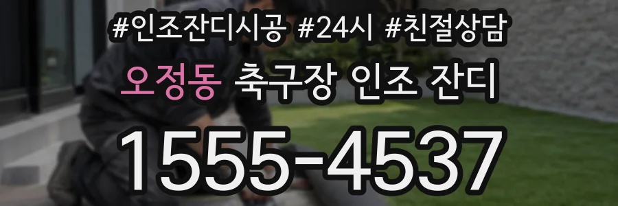 오정동 축구장 인조 잔디
