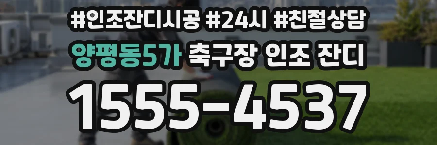 양평동5가 축구장 인조 잔디