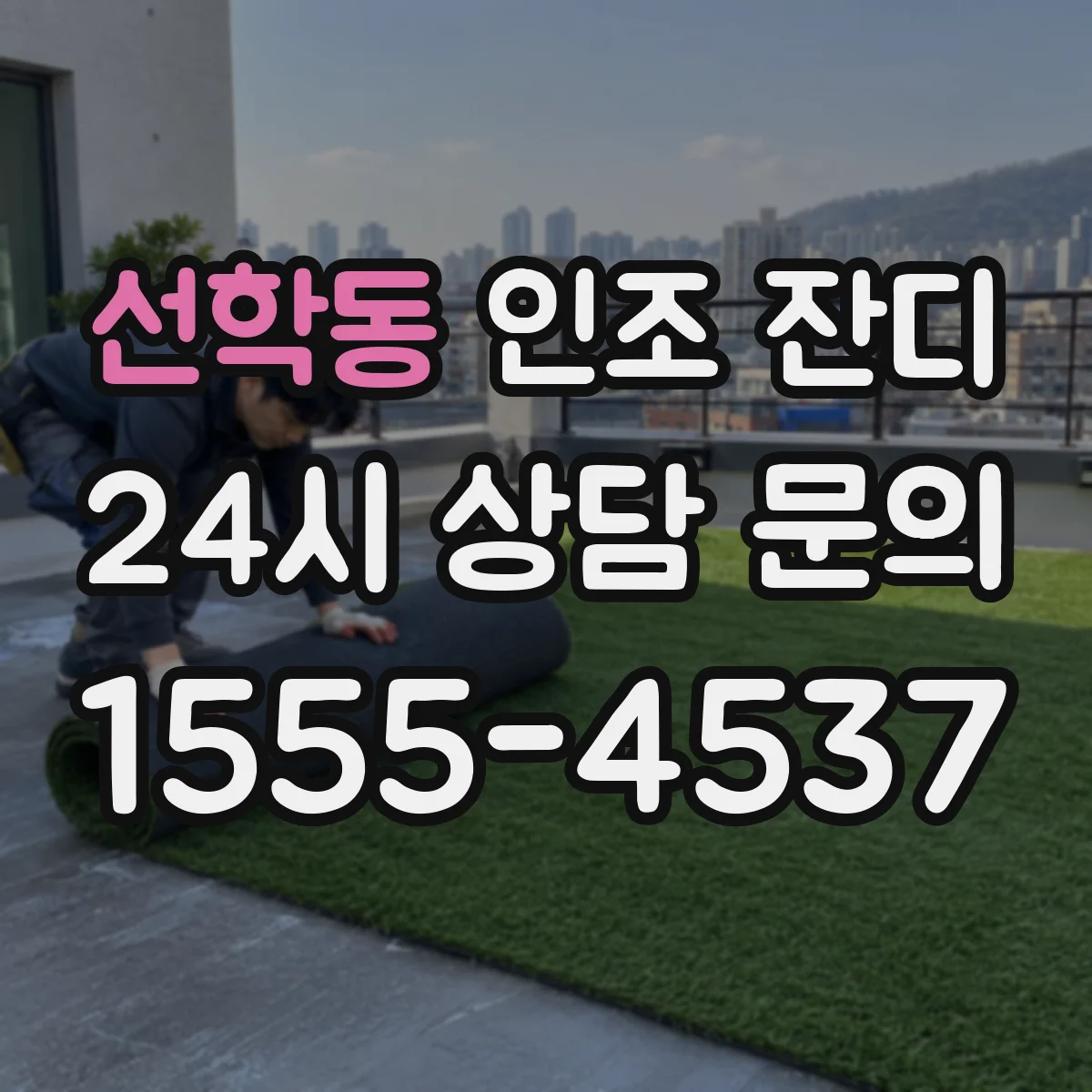 선학동 인조 잔디