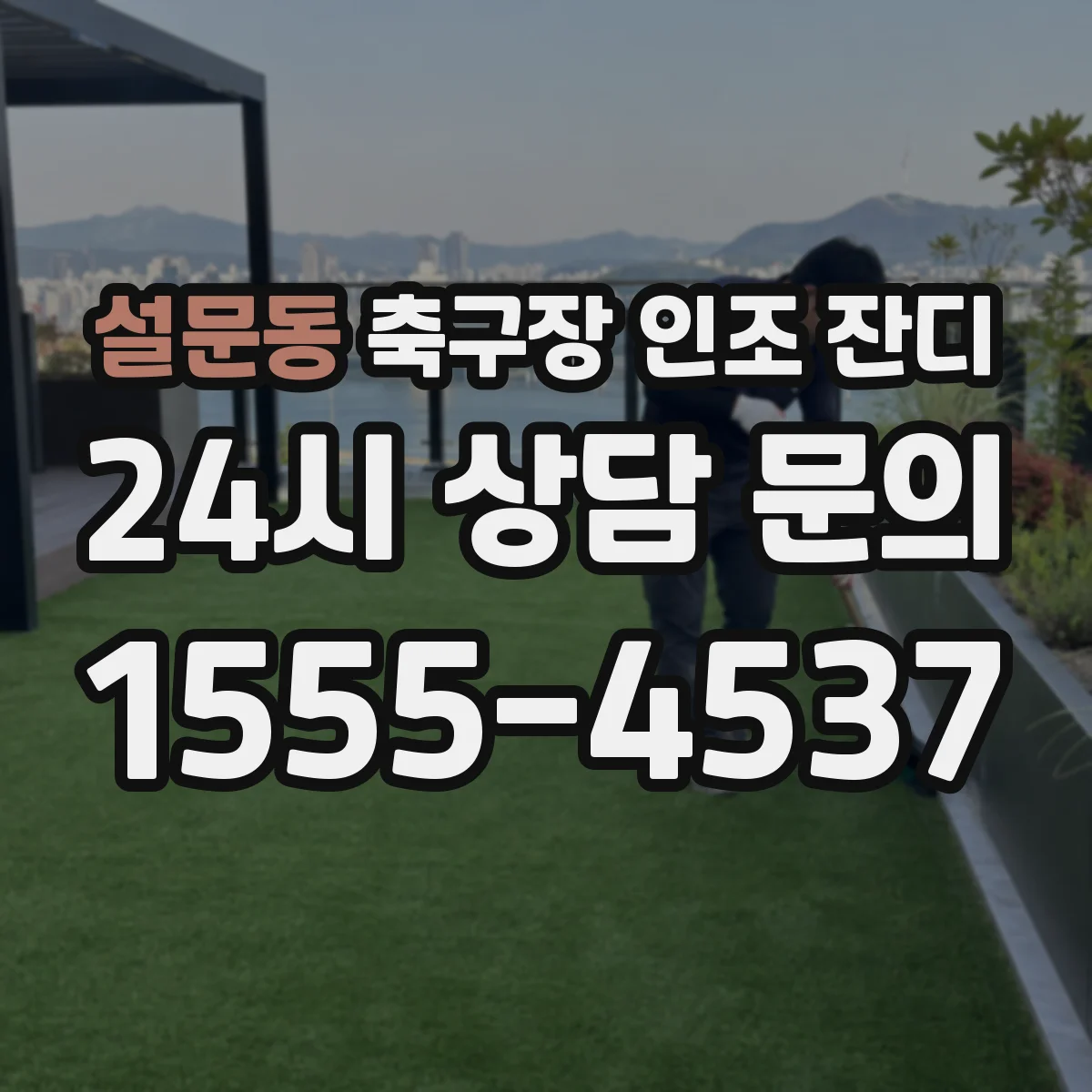 설문동 축구장 인조 잔디