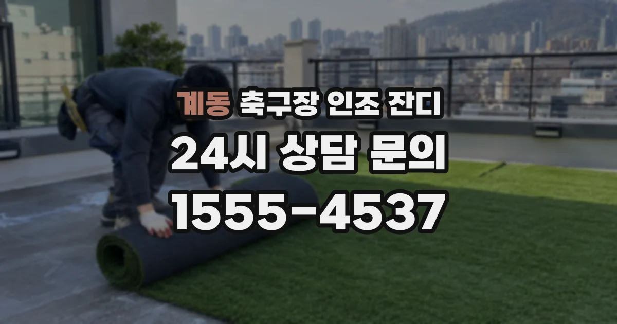 계동 축구장 인조 잔디