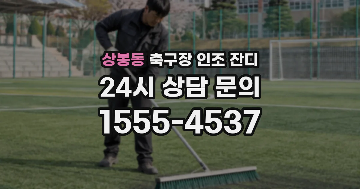 상봉동 축구장 인조 잔디