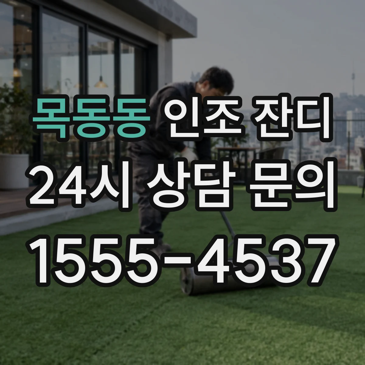 목동동 인조 잔디