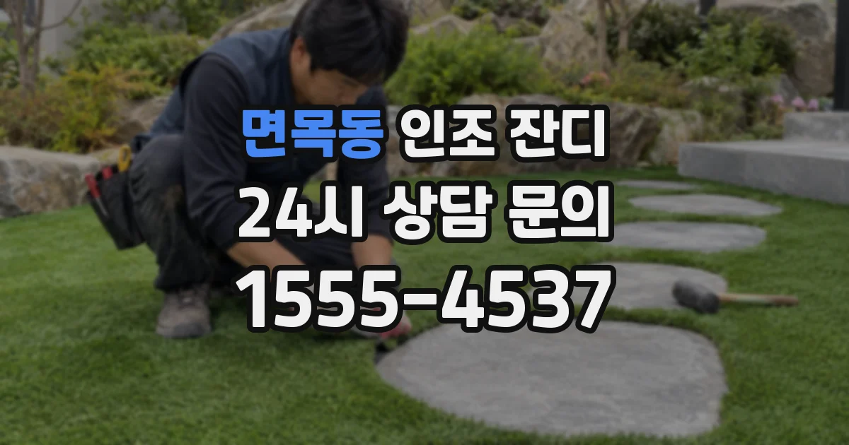 면목동 인조 잔디