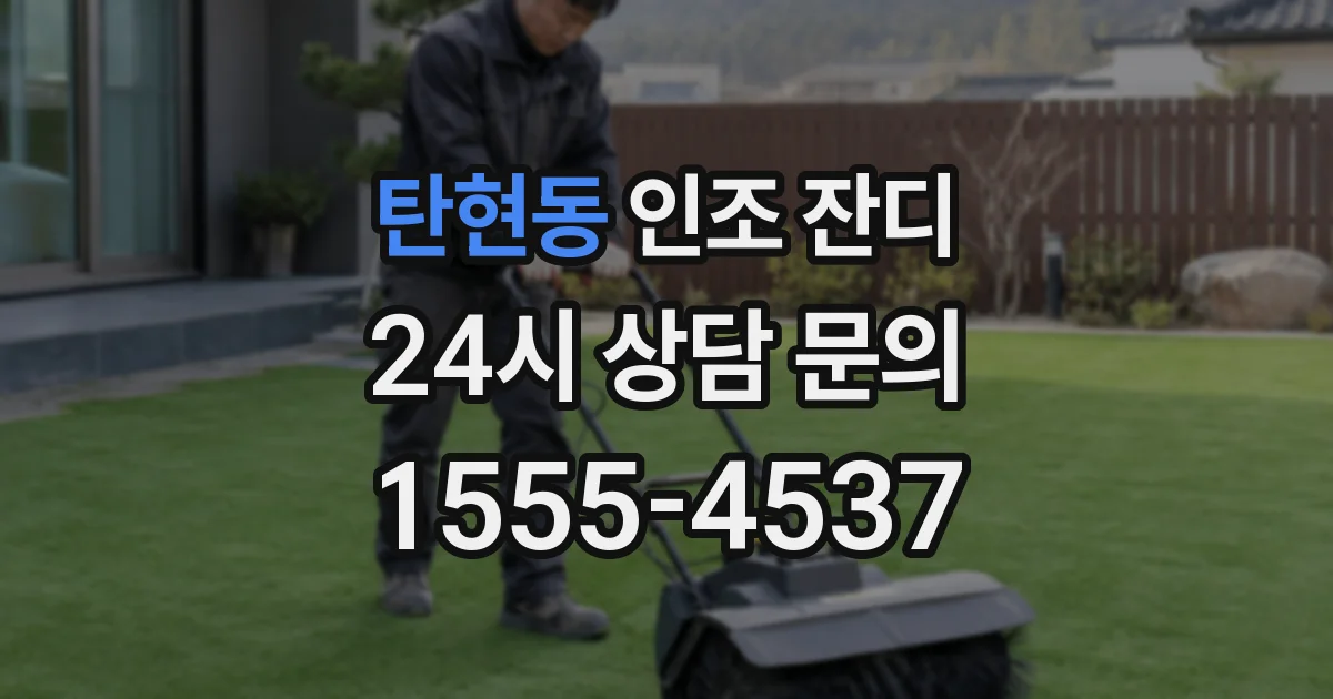 탄현동 인조 잔디
