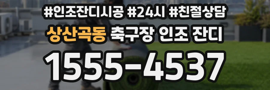 상산곡동 축구장 인조 잔디