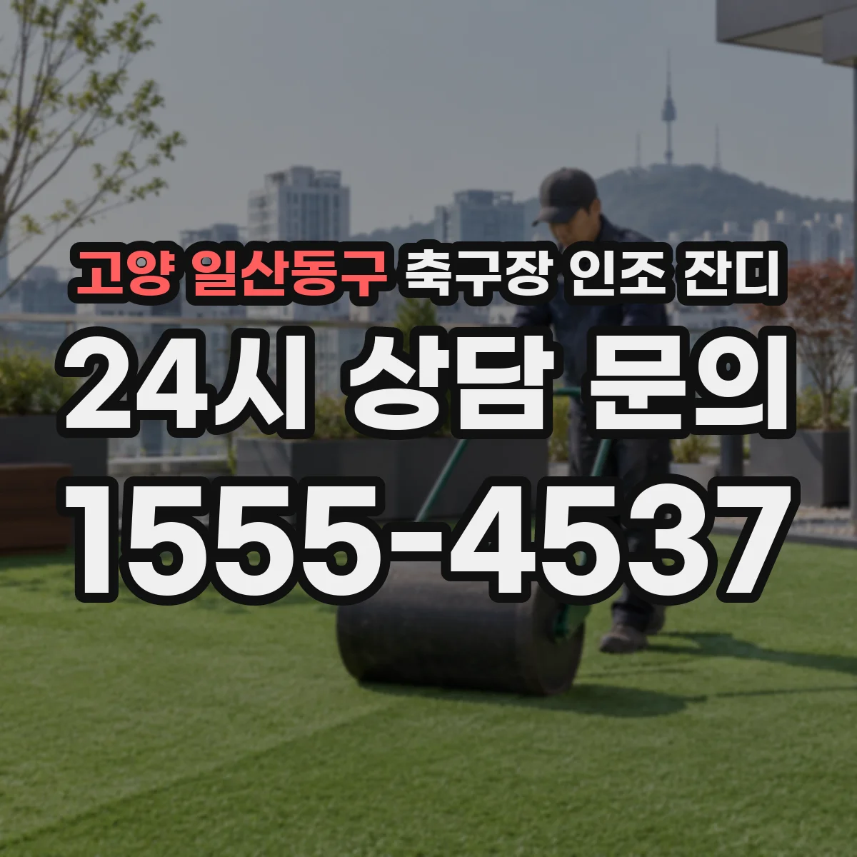 고양 일산동구 축구장 인조 잔디