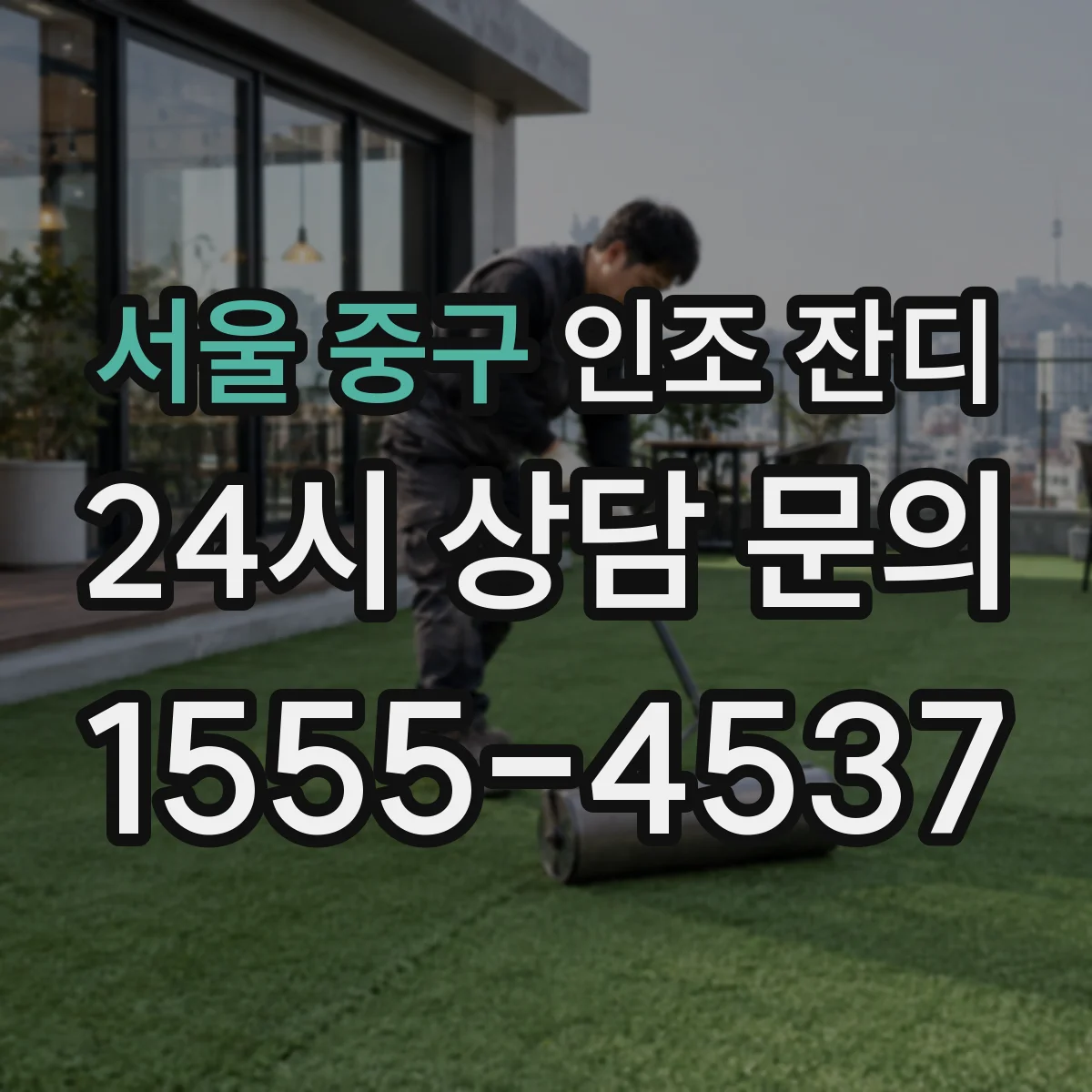 서울 중구 인조 잔디