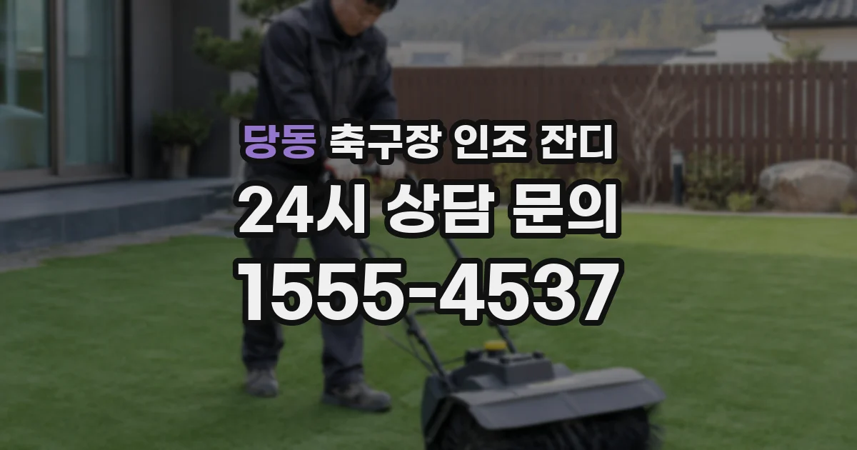 당동 축구장 인조 잔디