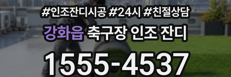 강화읍 축구장 인조 잔디
