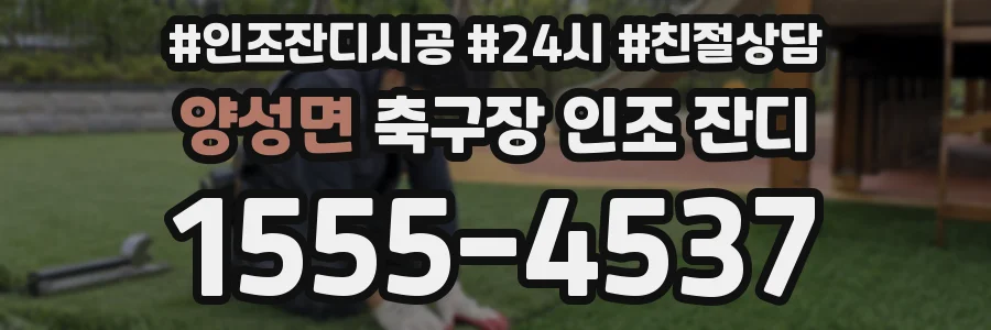 양성면 축구장 인조 잔디