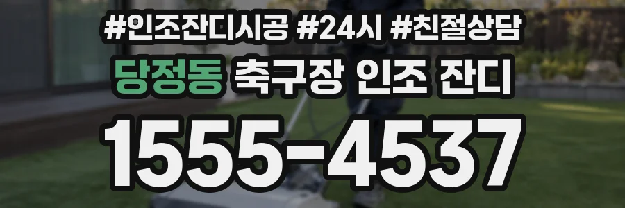 당정동 축구장 인조 잔디