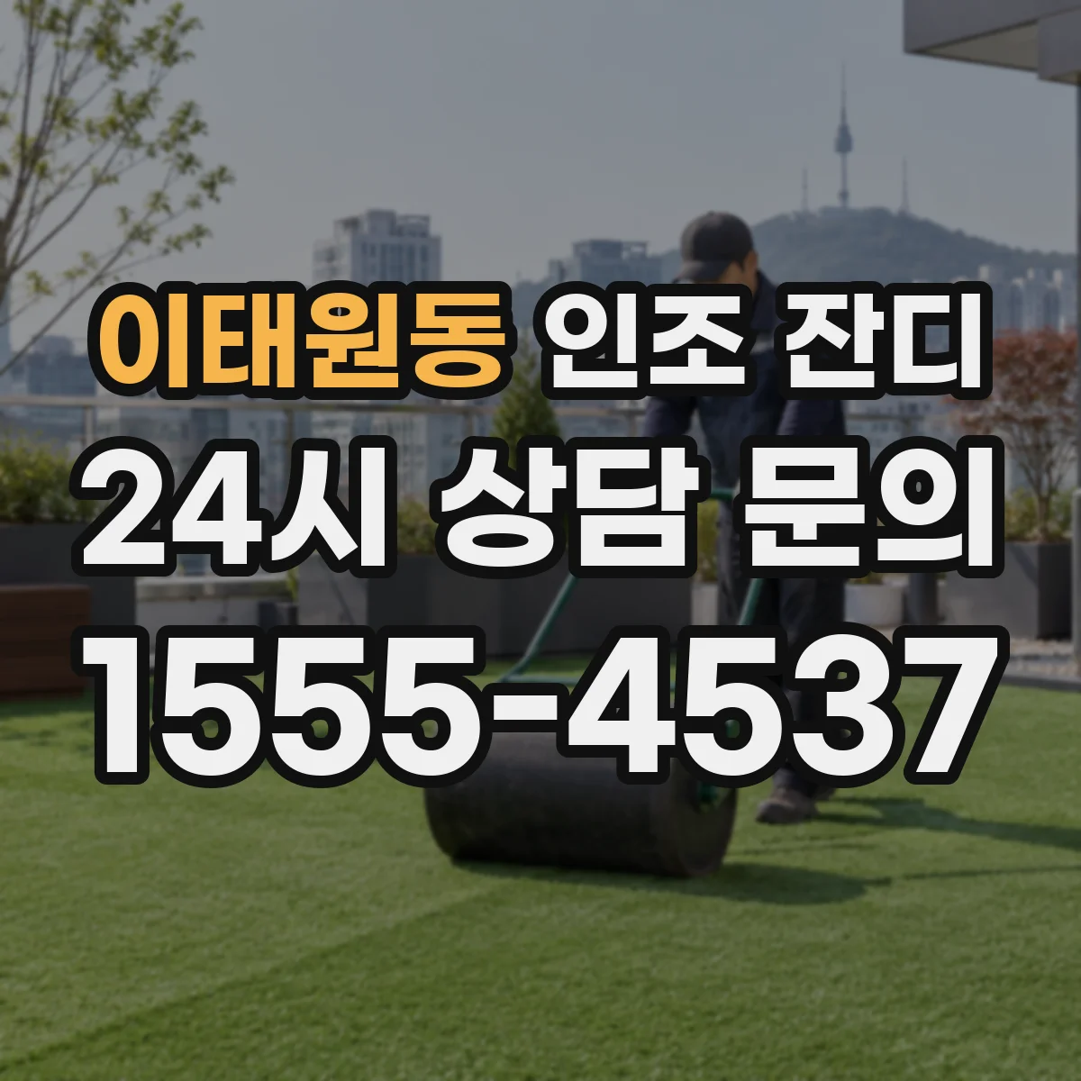 이태원동 인조 잔디