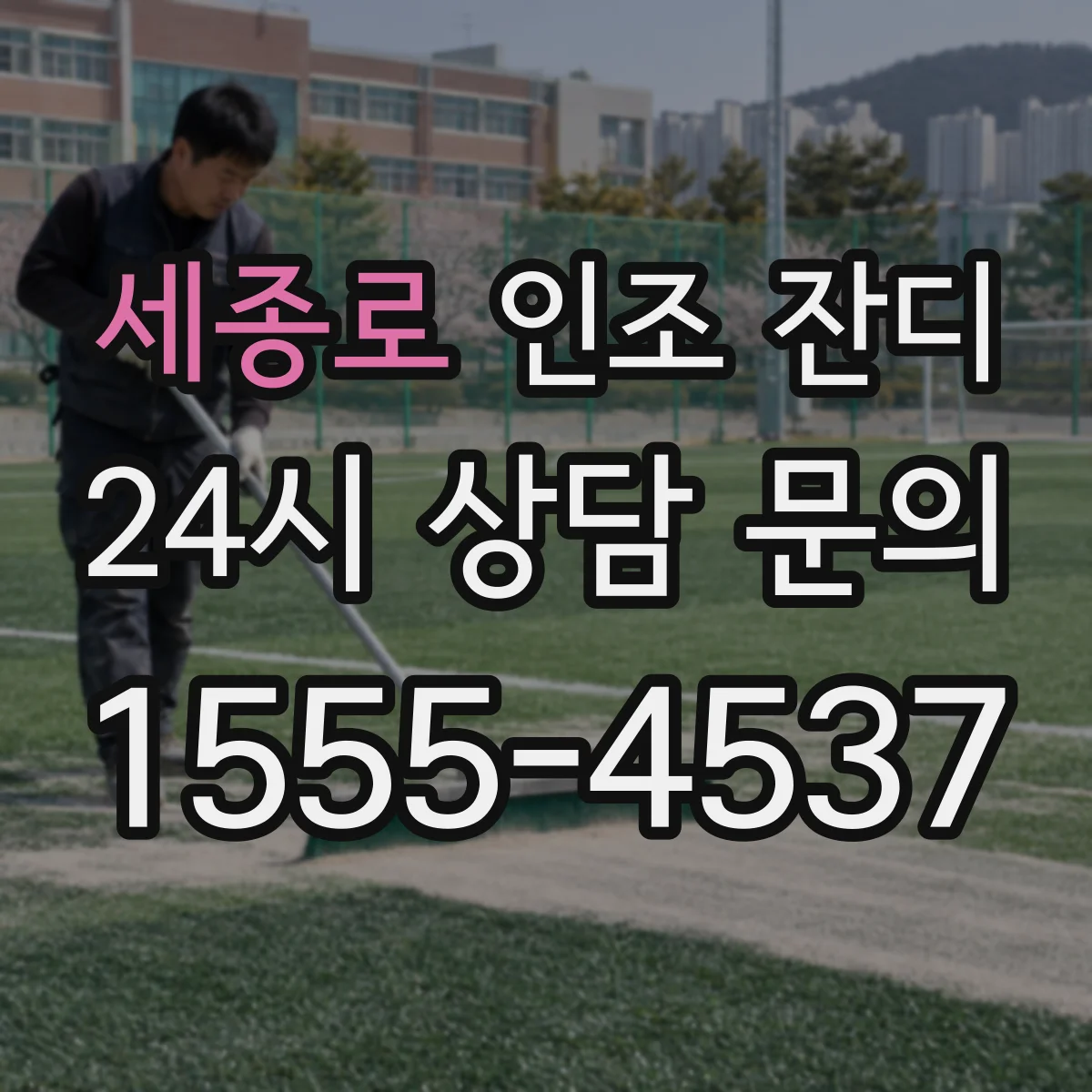 세종로 인조 잔디