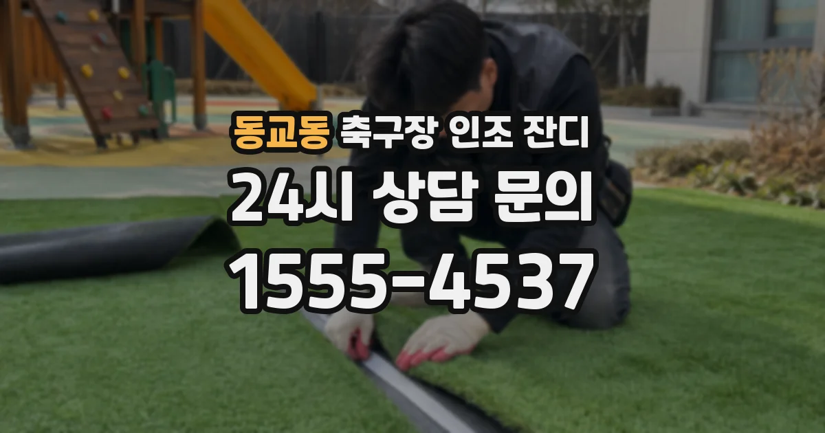 동교동 축구장 인조 잔디
