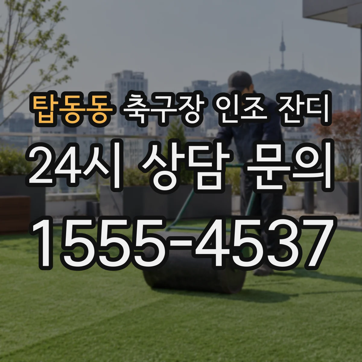 탑동동 축구장 인조 잔디
