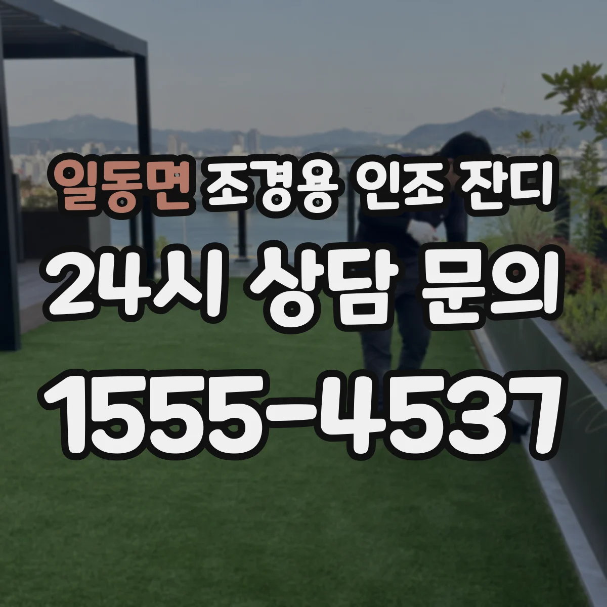 일동면 조경용 인조 잔디