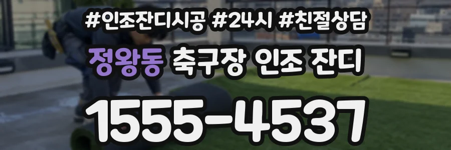 정왕동 축구장 인조 잔디